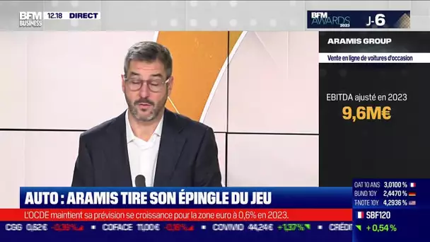 Guillaume Paoli (Aramis Group) : Auto, Aramis tire son épingle du jeu