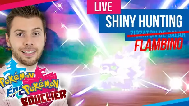 Shiny Hunting FLAMBINO - Pokémon Epée & Bouclier