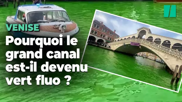 Extinction Rebellion colore le grand canal de Venise en vert fluo