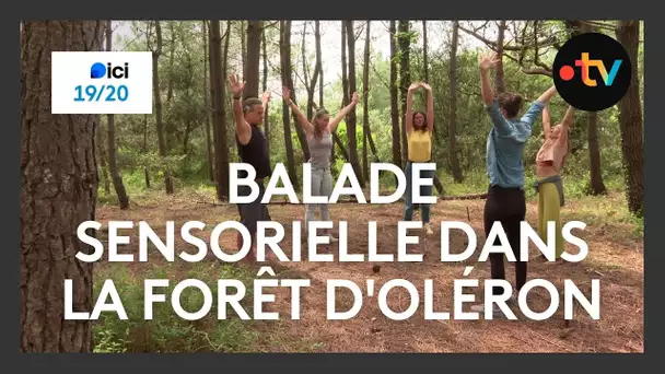 Balade sensorielle au cœur de la forêt d'Oléron