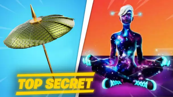 LE SKIN GALAXY SCOUT A LEAK ! DES CHANGEMENTS SUR LA MAP DE FORTNITE ! (FORTNITE SECRET SAISON 3)