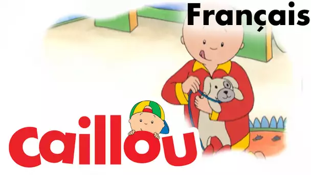 Caillou FRANÇAIS - Caillou promène un chien  (S01E50) | conte pour enfant | Caillou en Français