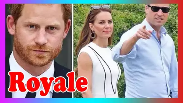 Famille royale: Kate et William font une nouvelle emb@uche pour s'attaquer au «prince p ***ed off»