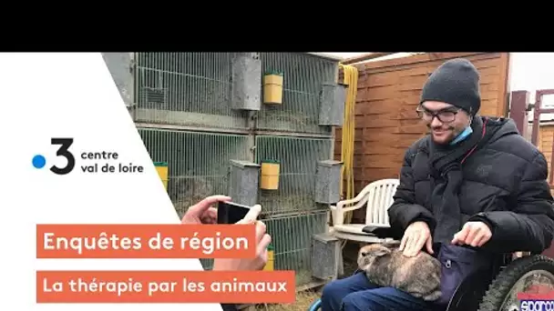 Enquête de région : la thérapie par les animaux