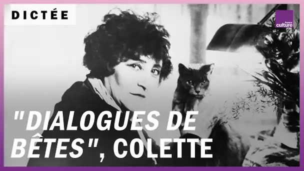 La Dictée géante : "Dialogues de bêtes" de Colette