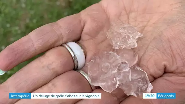 Un déluge de grêle s'abat sur le vignoble autour de Sainte-Foy-la-Grande