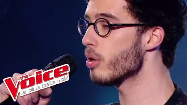 Michel Polnareff – Goodbye Marylou | Alexandre Carcelen | The Voice France 2016 | Épreuve ultime