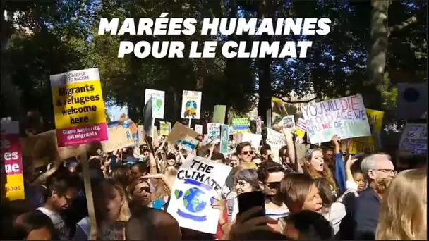Des centaines de milliers de "grévistes du climat" manifestent dans le monde