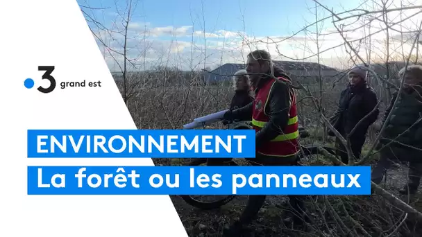 La forêt de Mercy va-t-elle disparaître pour laisser la place à des panneaux photovoltaïques ?