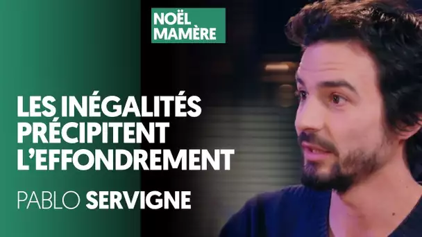 LES INÉGALITÉS PRÉCIPITENT L'EFFONDREMENT - PABLO SERVIGNE