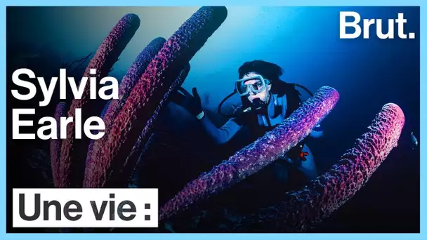 Une vie : Sylvia Earle