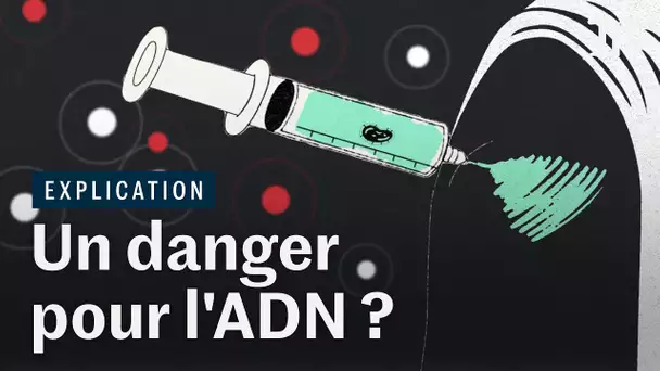 Covid-19 : le vaccin à ARN messager va-t-il modifier votre ADN ?