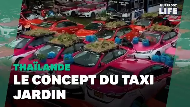 Besoin d'idées pour votre jardin? À Bangkok, on fleurit les taxis