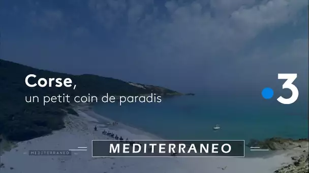 Corse, un petit coin de paradis