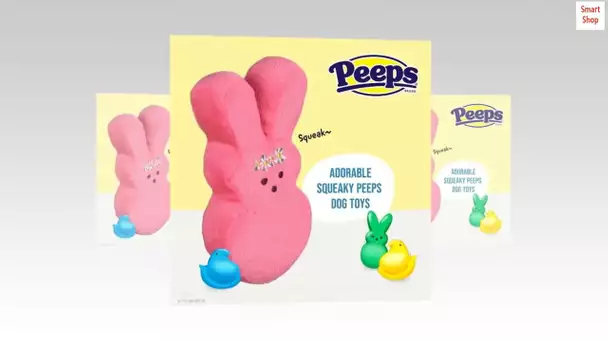 Peeps Dress Up Bunny Plush Squeaker Toy for Dogs, Multiple Colors