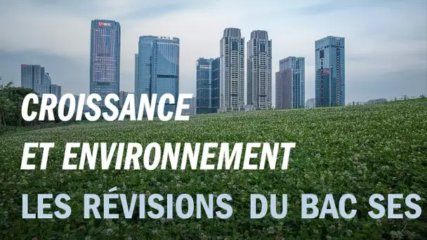 Les révisions du bac ES : croissance économique et environnement - Entendez-vous l&#039;éco ?