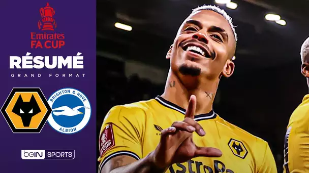 Lemina fait le BONHEUR de Wolverhampton contre Brighton !