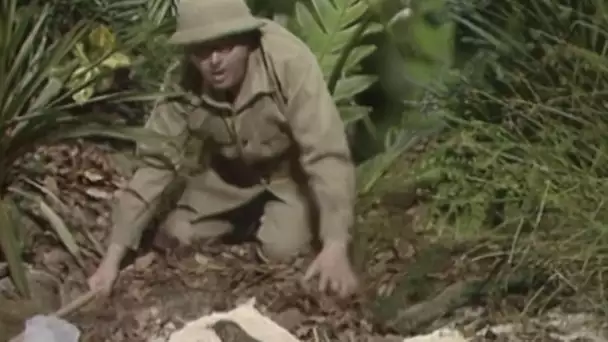 Benny Hill - Saison 3, Episode 1