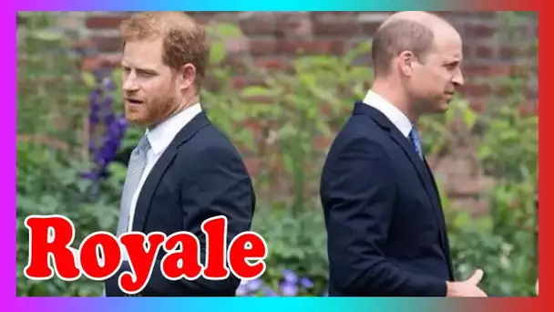 Harry et William prouvent que des années de guerre ont précédé le ch@os du Megxit