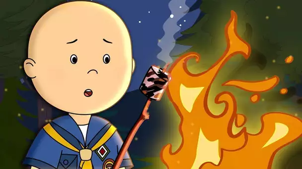 Camp Caillou | Caillou en Français