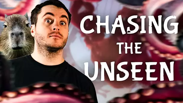 LE JEU ME TAUNT ! (Chasing the Unseen - Indiemanche #27)
