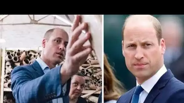 Le prince William publie une déclaration émotionnelle contre le «crime insidieux» après un triomphe