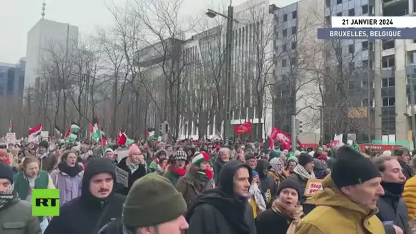 🇧🇪 Des milliers de manifestants à Bruxelles pour la Palestine