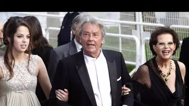 Alain Delon a 84 ans  Sa seule épouse Nathalie, les relations avec les enfants, les liaisons amoure