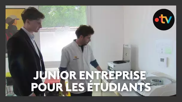 Junior entreprise, une structure pour mettre en pratique les compétences des étudiants