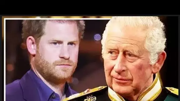 La «cruauté» du prince Harry envers le roi Charles «ne connaît pas de limites» alors que la famille