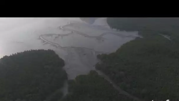 Thaïlande : mangrove et fermes aquacoles dans la baie de Phang Nga