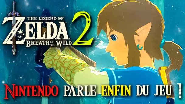 Zelda Breath of the Wild 2 : Nintendo Parle Enfin du JEU ! 🚨