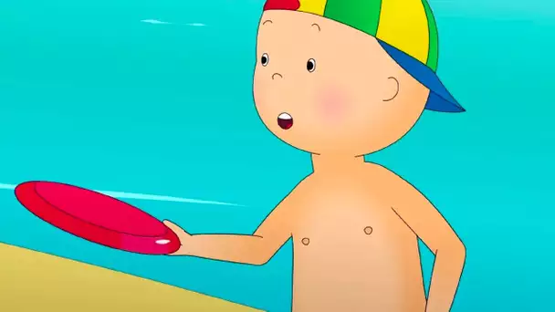 Journée à la Plage | Caillou en Français