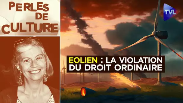 Eolien : la violation du droit ordinaire - Perles de Culture n°360 - TVL