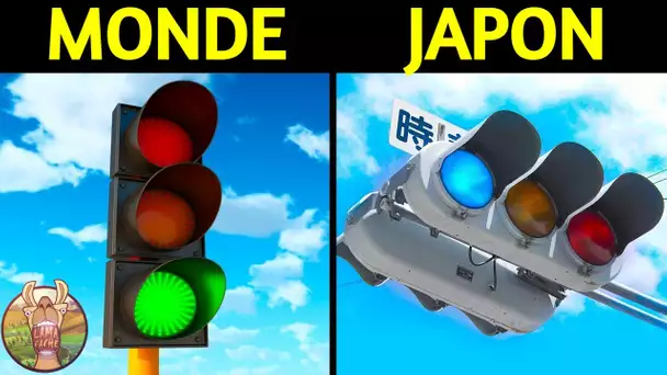 Choses Bizarres Que Vous Ne Verrez Qu'au JAPON !