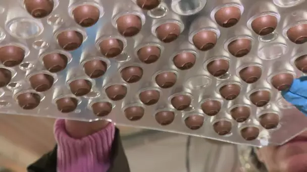 Pâques : l'effervescence chez Bovetti à Terrasson