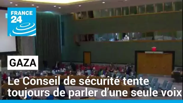 Gaza : le Conseil de sécurité tente toujours de parler d'une seule voix • FRANCE 24
