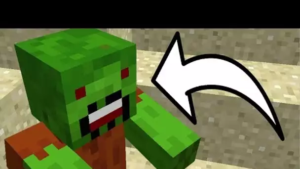 VOICI COMMENT INVOQUER LE ZOMBIE NOTCH EN 1.12 !