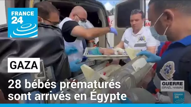 Gaza : 28 bébés prématurés, évacués de l'enclave, sont arrivés en Égypte • FRANCE 24