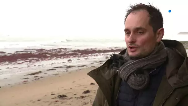 Vendée : l'huître Erika du chef Alexandre Couillon à Noirmoutier