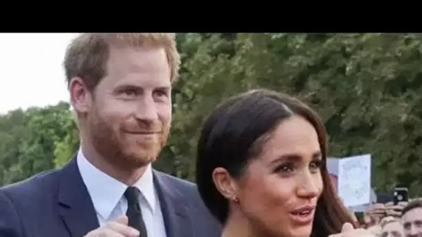 La fondation Archewell de Meghan Markle et du prince Harry contribue à un don caritatif de 900 000 £