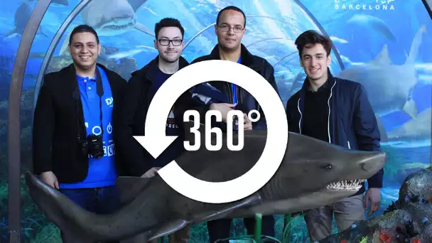 DES REQUINS NOUS ATTAQUENT !