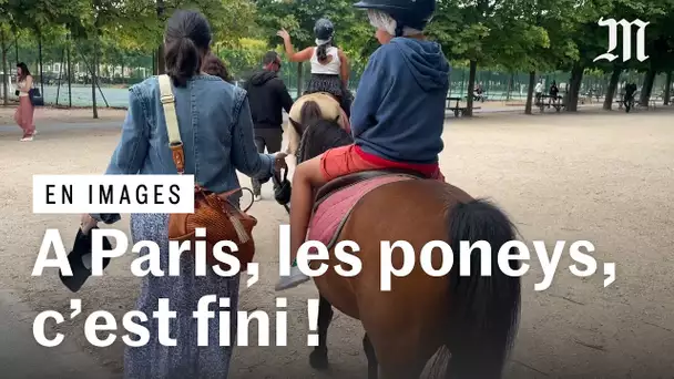 Paris : les balades à poney bientôt supprimées des parcs