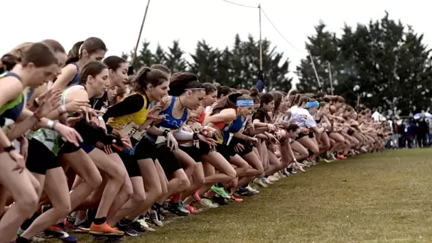 Prêts pour les Championnats de France de Cross-Country ?