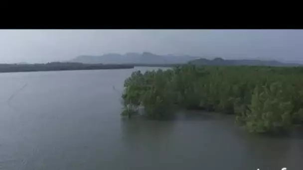 Thaïlande : aquaculture dans la baie de Phang Nga