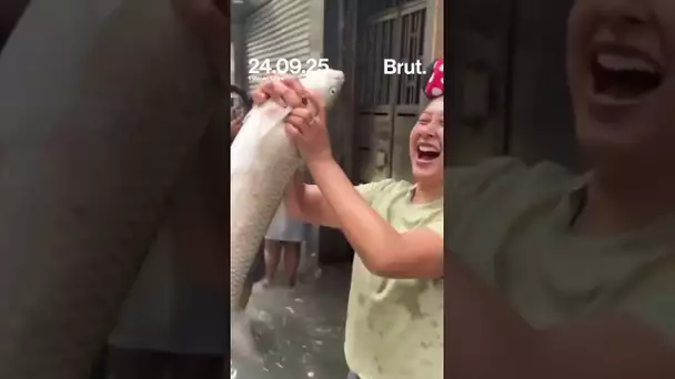Des habitants de Macao pêchent des poissons dans les rues inondées.