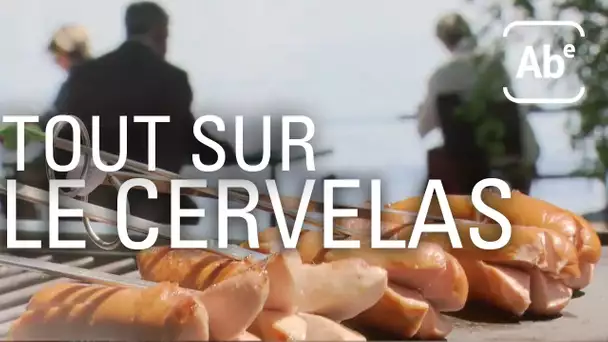 Tout sur le cervelas, la saucisse nationale suisse. ABE-RTS