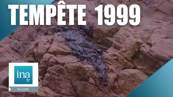 Tempête 1999 : Marée noire et dégâts sur l'Île-d'Houat | Archive INA