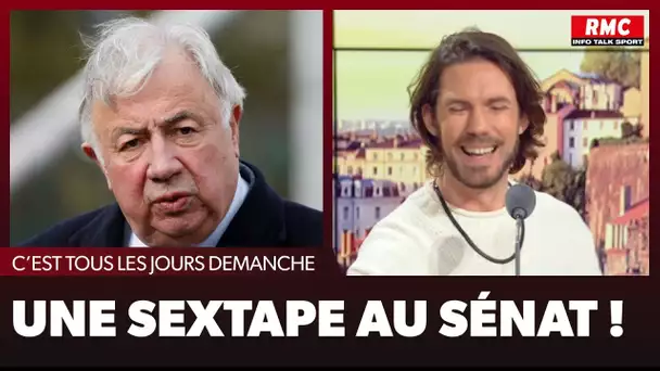 Arnaud Demanche - Une sextape au Sénat !