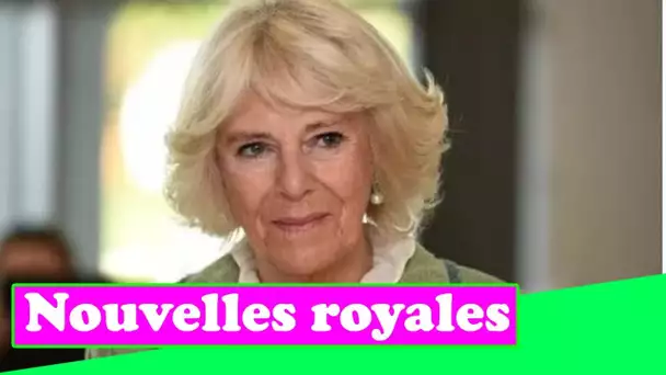 Camilla « jalouse » alors que la « reine blanche » Kate a obtenu un soutien public immédiat
